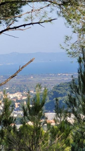 les Marronniers